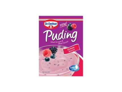 DR.OETKER PUDING GOZNDI SADEŽI 81G