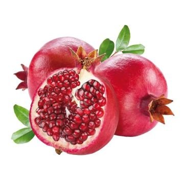 Birokrat - 2364 GRANATNO JABOLKO - Image 1